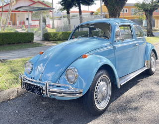 Fusca-3-1