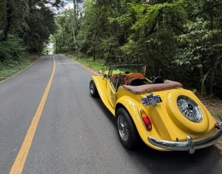 WhatsApp Image 2025-12-22 at 10.22.09